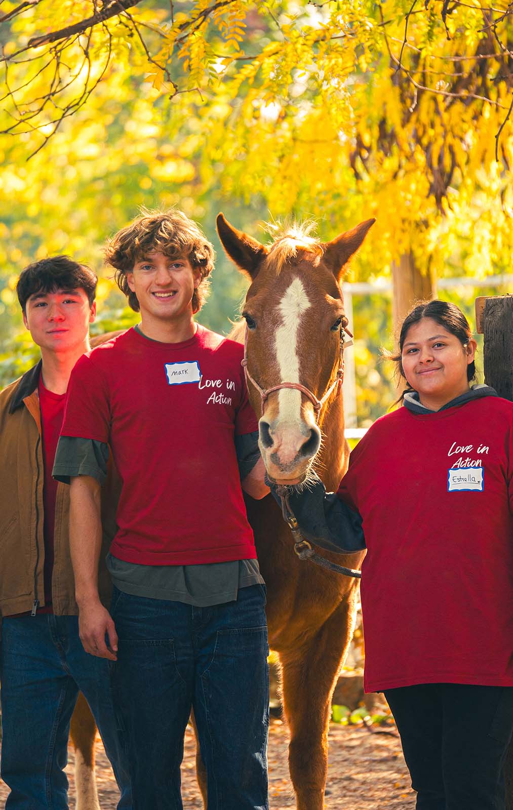 Walla Walla University (WA) Project