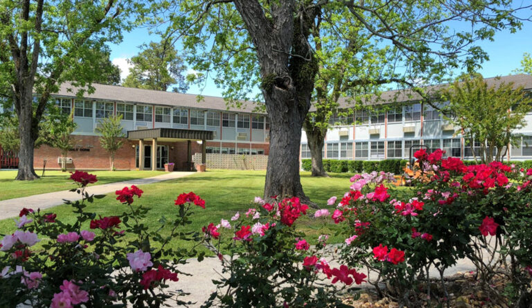 Streams of Light International (MS) Project